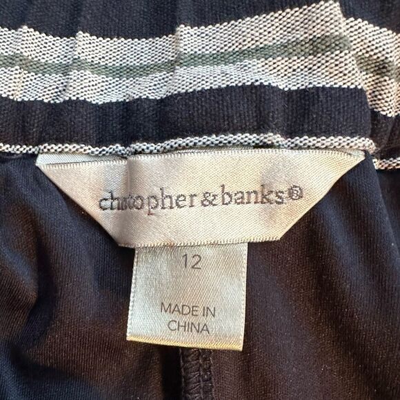Christopher & Banks Skort Sz 12 Blue Stripe Back Elastic Waist button/zipper - Picture 8 of 8